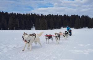 Vent_du_Nord v zimě