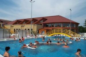 Bazén v ubytovaní Cedar Apartment 2 alebo v jeho blízkosti
