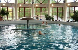 The swimming pool at or close to Pine Wood Apartment 7