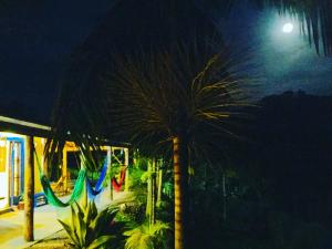 een palmboom naast een speeltuin 's nachts bij MEU PEDACINHO DO CÉU um lugar para se desconectar in São Francisco Xavier