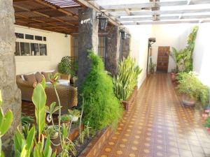 an outdoor patio with plants and a walkway at Iquique Beachfront -frente a playa Cavancha- in Iquique