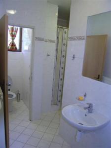 Vonios kambarys apgyvendinimo įstaigoje Chalet Horáren