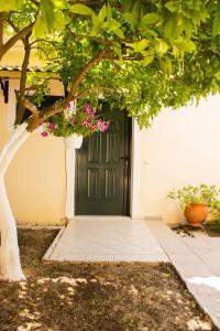 Photo de la galerie de l'établissement Nanos Studios, à Parga