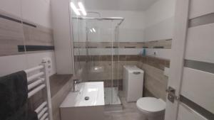 a bathroom with a shower and a toilet and a sink at Apartmán CENTRAL, free parking in Banská Bystrica