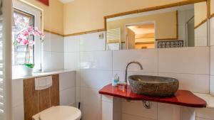 a bathroom with a sink and a toilet at Hexenhaus kleine Finka in Prerow
