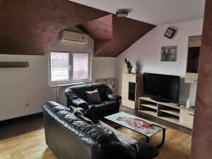 ein Wohnzimmer mit einem Ledersofa und einem TV in der Unterkunft Airport Apartments in Belgrad
