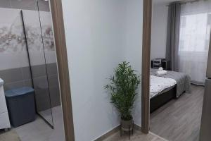 a mirror in a room with a bed and a potted plant at Hidden Apartment in Miercurea-Ciuc