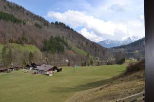 un grand champ verdoyant avec une maison et des montagnes dans l'établissement Hotel Alpenresi, à Ramsau bei Berchtesgaden