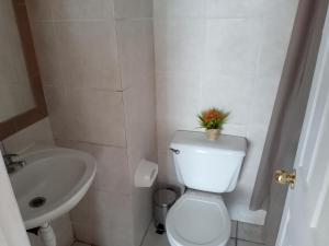 een witte badkamer met een toilet en een wastafel bij Departamento Impecable in Santiago