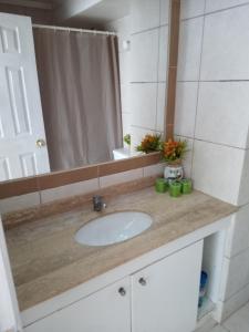 een badkamerbar met een wastafel en een spiegel bij Departamento Impecable in Santiago