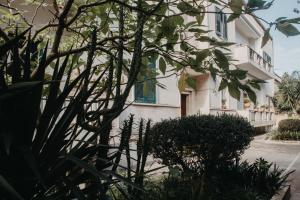 Jardí fora de Piazza Argento
