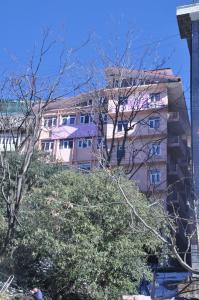 a building on a hill with trees in front of it at Hotel Prestige in Shimla