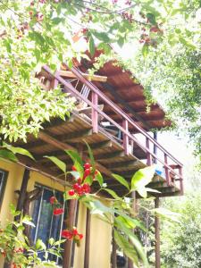 une pergola rose sur une maison avec un arbre dans l'établissement Cabaña Los Pololos, à Villa Serrana
