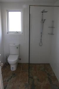 a bathroom with a toilet and a window at Penguin Seaside Farm in Penguin