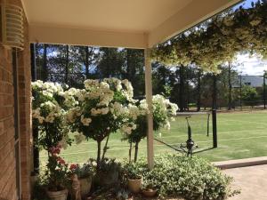 a view of a tennis court from a house with flowers at Putta Bucca B&B in Mudgee