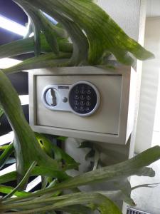 a phone sitting on top of a plant at Seamist-Seascape in Ballina