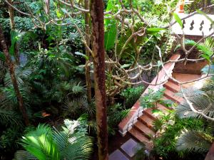 Сад в Marbella Guest House