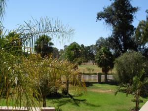 un parc avec des palmiers et une clôture dans l'établissement Oudtshoorn Guest House, à Oudtshoorn