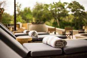 Fotografie z fotogalerie ubytování Simbavati Amani v destinaci Klaserie Private Nature Reserve