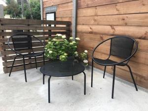 twee zwarte stoelen en een tafel met een plant bij Hôtel la petite auberge in Arès