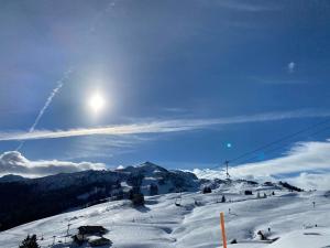 Berghof Haselsberger during the winter