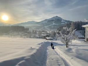 Berghof Haselsberger during the winter