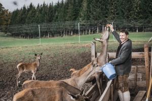 Állatok a vendégházban vagy a közelben
