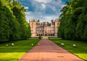 ein großes Schloss mit Schafen, die eine Straße hinuntergehen in der Unterkunft Stableyard Studio: Drumlanrig Castle in Thornhill