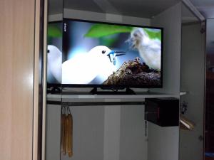 una pantalla de TV con dos pájaros en un nido en Ferienwohnung galina, en Rockenhausen