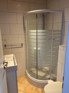 Kylpyhuone majoituspaikassa Hotel Wildschütz Basic