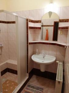 a small bathroom with a sink and a shower at Alfa 2 apartament 4 in Bystra