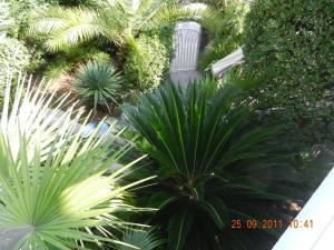 een uitzicht over de tuin met palmbomen bij Apartments Sino More in Tivat