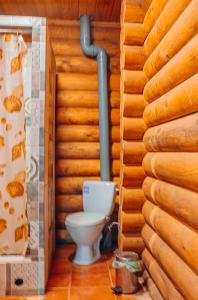a bathroom with a toilet in a wooden wall at Log House Savin in Savin +46 photos