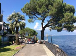 Gallery image of Brissago in Brissago