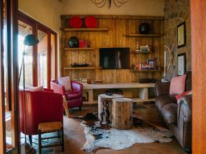 a living room with a couch and a tv at Nedile Lodge in Welgevonden Game Reserve