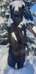 PENZION HARRY na sjezdovce KRKONOŠE talvel