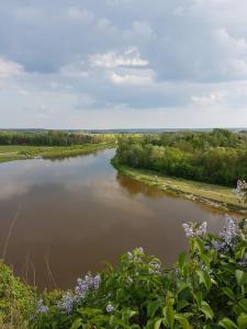 a view of a river with trees and flowers at Dom w krainie Bugu in Korczew