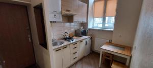 Η κουζίνα ή μικρή κουζίνα στο Apartments in Lemberg