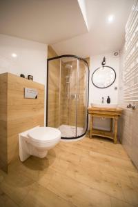 a bathroom with a shower and a toilet and a sink at Apartamenty Stare Izby in Poronin