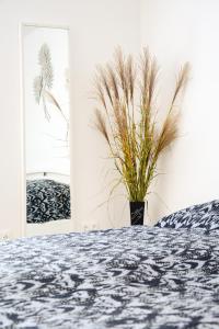 ein Schlafzimmer mit einem Bett und einer Topfpflanze in der Unterkunft Sweety-Apartman in Mátészalka