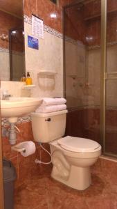 Hoteles Bogotá Inn Galerías في بوغوتا: حمام مع مرحاض ومغسلة ودش