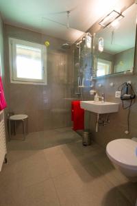 y baño con lavabo, ducha y aseo. en Chalet Falki, en Adelboden
