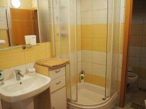 a bathroom with a shower and a sink at Apartment Peter in Donovaly +23 photos