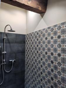 y baño con ducha y pared de azulejos. en Les appartements du Mas Riols, en Saint-Cyprien