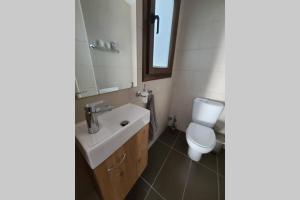 a bathroom with a sink and a toilet and a mirror at Apartamento frente telecabina Vallnord - Bike park 641 in La Massana +4 photos
