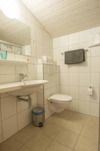 アデルボーデンにあるBuchhüttliのバスルーム(洗面台、トイレ、鏡付)