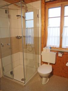 a bathroom with a toilet and a glass shower at Chalet Azeno OG in Adelboden