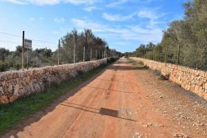 Foto dalla galleria di 168 Finca Can Xesquet Comuna ETV6447 by Mallorca Charme a Ses Salines