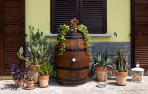 Fotografie z fotogalerie ubytování B&B La Corte della Nonna v destinaci Samarate + 6 fotografií