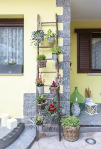 Zahrada ubytování B&B La Corte della Nonna